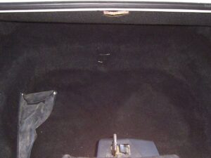 Trunk Interior liner